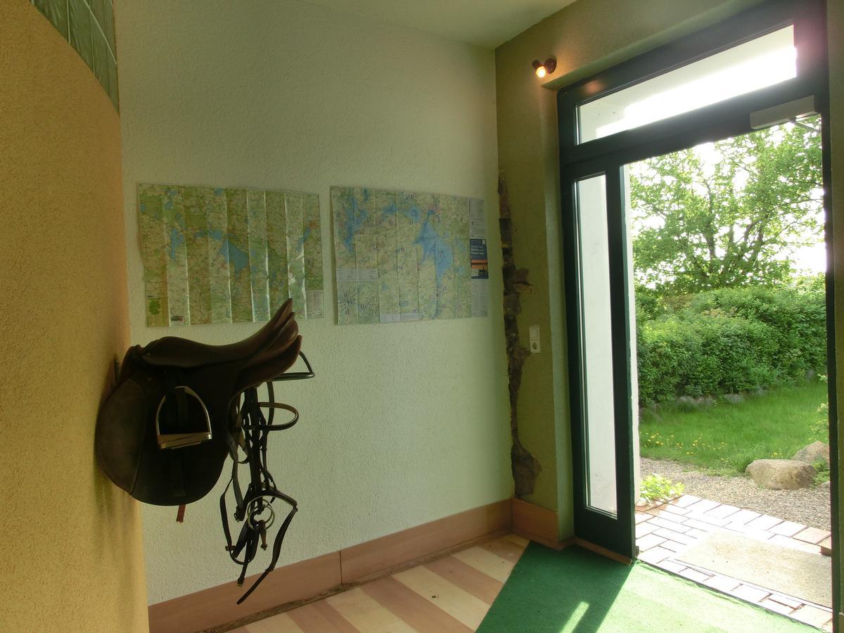 Domane Neu Gaarz Hostel 外观 照片